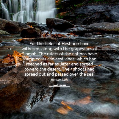 Picture 05 - Isaiah 16:8 BSB - For the fields of Heshbon have withered, along - Bible Verse Picture