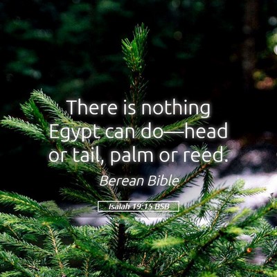 Picture 05 - Isaiah 19:15 BSB - There is nothing Egypt can do—head or tail, - Bible Verse Picture