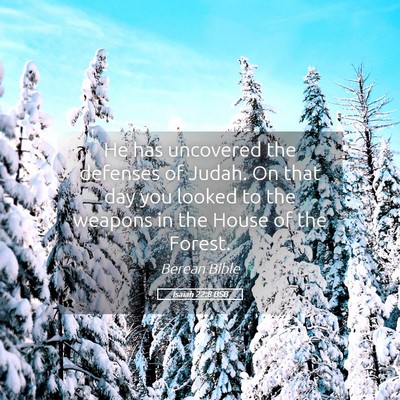 Picture 05 - Isaiah 22:8 BSB - He has uncovered the defenses of Judah. On that - Bible Verse Picture