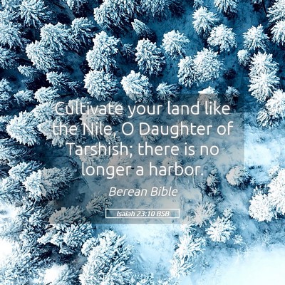 Picture 05 - Isaiah 23:10 BSB - Cultivate your land like the Nile, O Daughter of - Bible Verse Picture