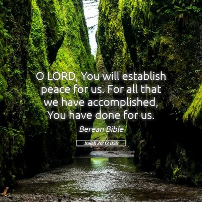 Picture 05 - Isaiah 26:12 BSB - O LORD, You will establish peace for us. For all - Bible Verse Picture