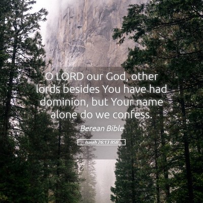 Picture 05 - Isaiah 26:13 BSB - O LORD our God, other lords besides You have had - Bible Verse Picture