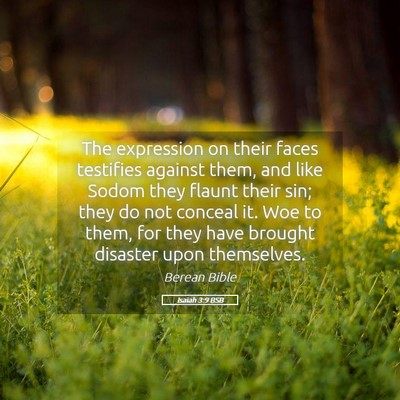 Picture 05 - Isaiah 3:9 BSB - The expression on their faces testifies against - Bible Verse Picture
