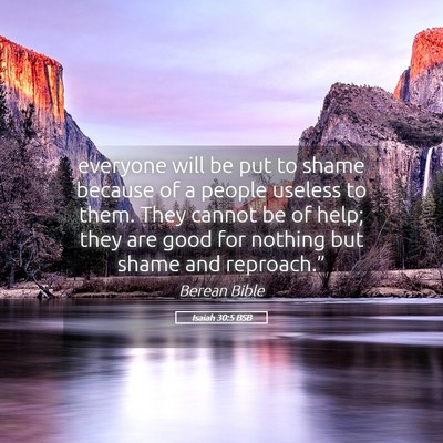 Picture 05 - Isaiah 30:5 BSB - everyone will be put to shame because of a people - Bible Verse Picture