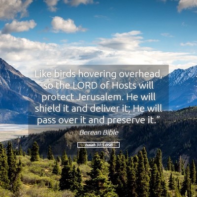 Picture 05 - Isaiah 31:5 BSB - Like birds hovering overhead, so the LORD of - Bible Verse Picture