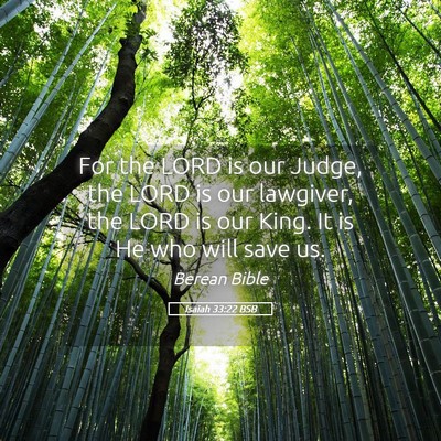 Picture 05 - Isaiah 33:22 BSB - For the LORD is our Judge, the LORD is our - Bible Verse Picture