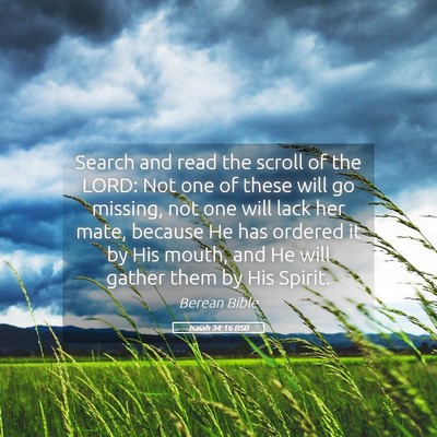 Picture 05 - Isaiah 34:16 BSB - Search and read the scroll of the LORD: Not one - Bible Verse Picture