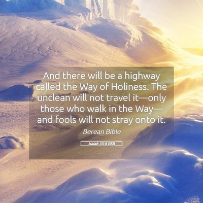 Picture 05 - Isaiah 35:8 BSB - And there will be a highway called the Way of - Bible Verse Picture