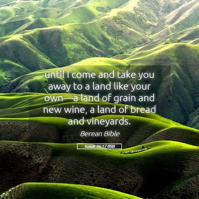 Picture 05 - Isaiah 36:17 BSB - until I come and take you away to a land like - Bible Verse Picture