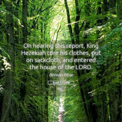 Picture 05 - Isaiah 37:1 BSB - On hearing this report, King Hezekiah tore his - Bible Verse Picture