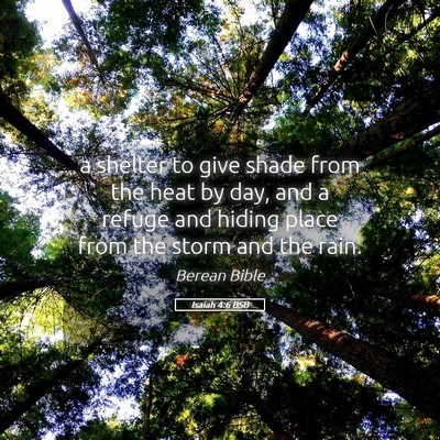 Picture 05 - Isaiah 4:6 BSB - a shelter to give shade from the heat by day, and - Bible Verse Picture