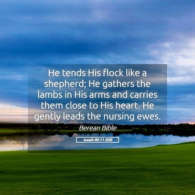 Picture 05 - Isaiah 40:11 BSB - He tends His flock like a shepherd; He gathers - Bible Verse Picture