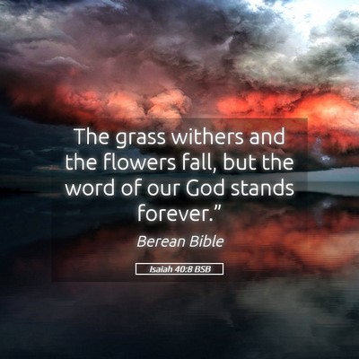 Picture 05 - Isaiah 40:8 BSB - The grass withers and the flowers fall, but the - Bible Verse Picture