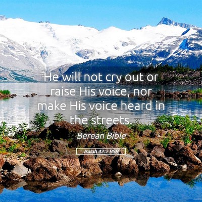 Picture 05 - Isaiah 42:2 BSB - He will not cry out or raise His voice, nor make - Bible Verse Picture