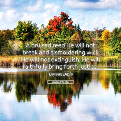 Picture 05 - Isaiah 42:3 BSB - A bruised reed He will not break and a smoldering - Bible Verse Picture