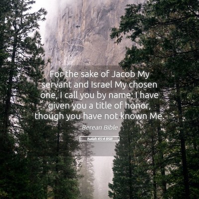 Picture 05 - Isaiah 45:4 BSB - For the sake of Jacob My servant and Israel My - Bible Verse Picture