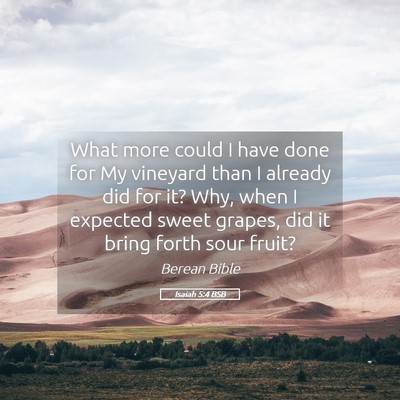 Picture 05 - Isaiah 5:4 BSB - What more could I have done for My vineyard than - Bible Verse Picture