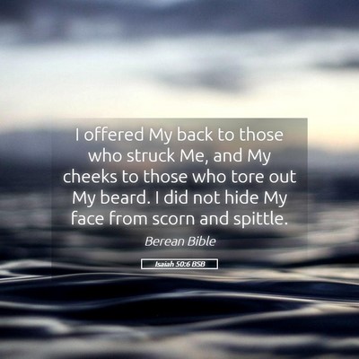 Picture 05 - Isaiah 50:6 BSB - I offered My back to those who struck Me, and My - Bible Verse Picture