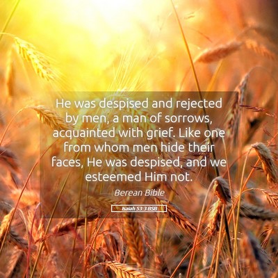 Picture 05 - Isaiah 53:3 BSB - He was despised and rejected by men, a man of - Bible Verse Picture