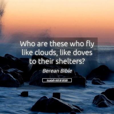 Picture 05 - Isaiah 60:8 BSB - Who are these who fly like clouds, like doves to - Bible Verse Picture