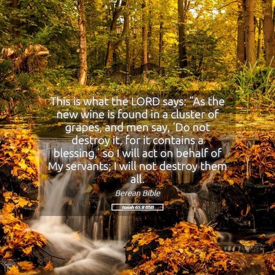 Picture 05 - Isaiah 65:8 BSB - This is what the LORD says: “As the new wine is - Bible Verse Picture