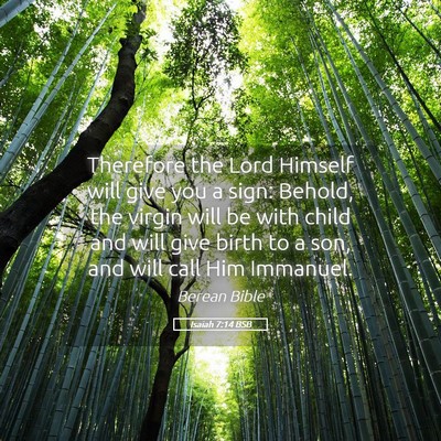 Picture 05 - Isaiah 7:14 BSB - Therefore the Lord Himself will give you a sign: - Bible Verse Picture
