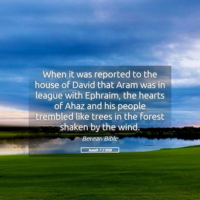 Picture 05 - Isaiah 7:2 BSB - When it was reported to the house of David that - Bible Verse Picture