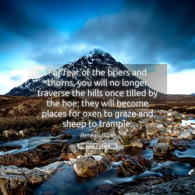 Picture 05 - Isaiah 7:25 BSB - For fear of the briers and thorns, you will no - Bible Verse Picture