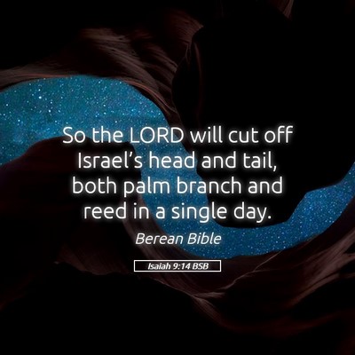 Picture 05 - Isaiah 9:14 BSB - So the LORD will cut off Israel’s head and - Bible Verse Picture