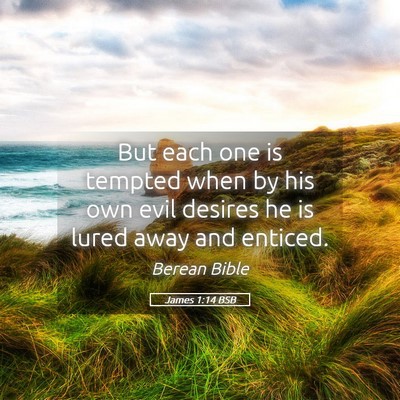 Picture 05 - James 1:14 BSB - But each one is tempted when by his own evil - Bible Verse Picture