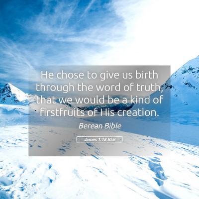 Picture 05 - James 1:18 BSB - He chose to give us birth through the word of - Bible Verse Picture