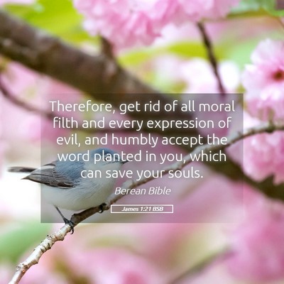 Picture 05 - James 1:21 BSB - Therefore, get rid of all moral filth and every - Bible Verse Picture