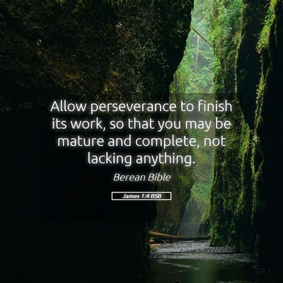Picture 05 - James 1:4 BSB - Allow perseverance to finish its work, so that - Bible Verse Picture