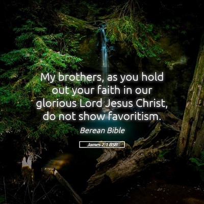 Picture 05 - James 2:1 BSB - My brothers, as you hold out your faith in our - Bible Verse Picture
