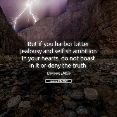 Picture 05 - James 3:14 BSB - But if you harbor bitter jealousy and selfish - Bible Verse Picture