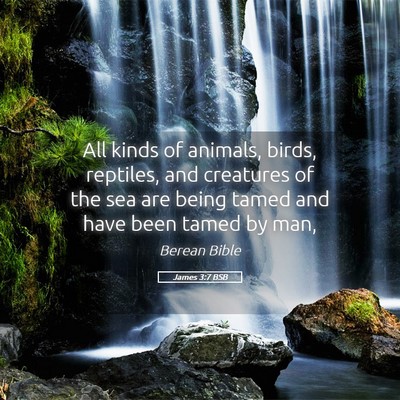 Picture 05 - James 3:7 BSB - All kinds of animals, birds, reptiles, and - Bible Verse Picture