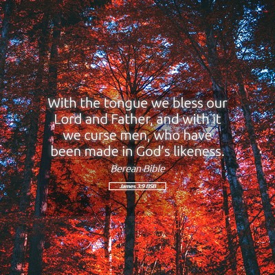 Picture 05 - James 3:9 BSB - With the tongue we bless our Lord and Father, and - Bible Verse Picture