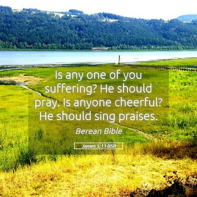 Picture 05 - James 5:13 BSB - Is any one of you suffering? He should pray. Is - Bible Verse Picture