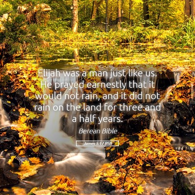 Picture 05 - James 5:17 BSB - Elijah was a man just like us. He prayed - Bible Verse Picture
