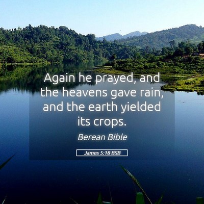 Picture 05 - James 5:18 BSB - Again he prayed, and the heavens gave rain, and - Bible Verse Picture