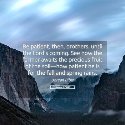 Picture 05 - James 5:7 BSB - Be patient, then, brothers, until the Lord’s - Bible Verse Picture