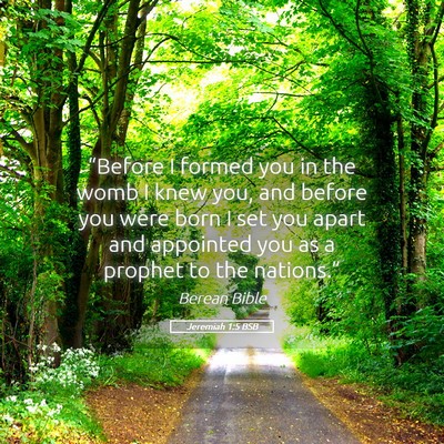 Picture 05 - Jeremiah 1:5 BSB - “Before I formed you in the womb I knew you, - Bible Verse Picture