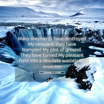 Picture 05 - Jeremiah 12:10 BSB - Many shepherds have destroyed My vineyard; they - Bible Verse Picture
