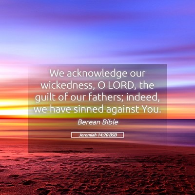 Picture 05 - Jeremiah 14:20 BSB - We acknowledge our wickedness, O LORD, the guilt - Bible Verse Picture