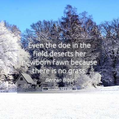 Picture 05 - Jeremiah 14:5 BSB - Even the doe in the field deserts her newborn - Bible Verse Picture