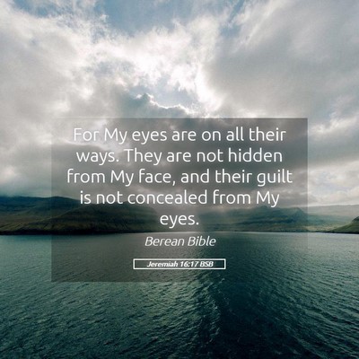 Picture 05 - Jeremiah 16:17 BSB - For My eyes are on all their ways. They are not - Bible Verse Picture