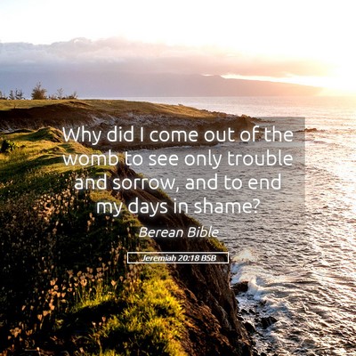 Picture 05 - Jeremiah 20:18 BSB - Why did I come out of the womb to see only - Bible Verse Picture