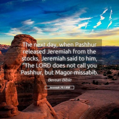 Picture 05 - Jeremiah 20:3 BSB - The next day, when Pashhur released Jeremiah from - Bible Verse Picture