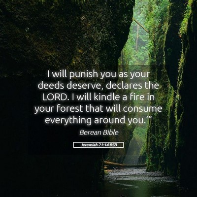 Picture 05 - Jeremiah 21:14 BSB - I will punish you as your deeds deserve, declares - Bible Verse Picture