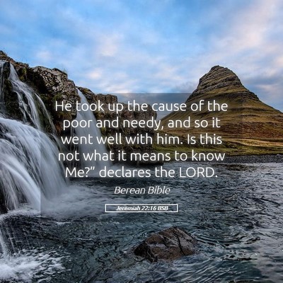 Picture 05 - Jeremiah 22:16 BSB - He took up the cause of the poor and needy, and - Bible Verse Picture